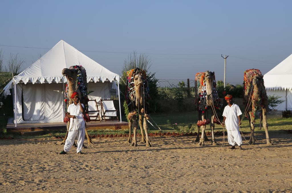 Pushkar Adventure Desert Camp Zewnętrze zdjęcie